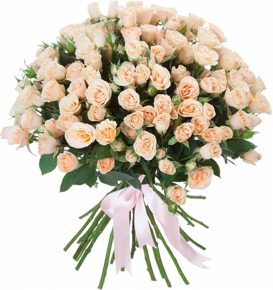 Кустовые кремовые розы Кустовые кремовые розы